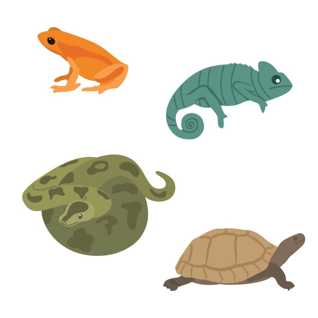 Lovely Layers: Curious Critters - Honey Cuts - Stand-Alone Dies